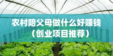 农村陪父母做什么好赚钱（创业项目推荐）