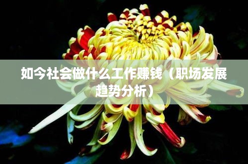 如今社会做什么工作赚钱（职场发展趋势分析）