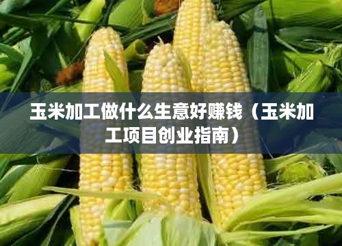 玉米加工做什么生意好赚钱（玉米加工项目创业指南）