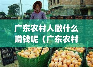 广东农村人做什么赚钱呢（广东农村创业项目推荐）