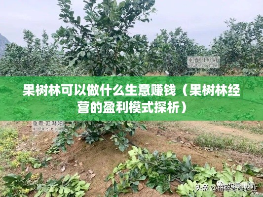 果树林可以做什么生意赚钱（果树林经营的盈利模式探析）