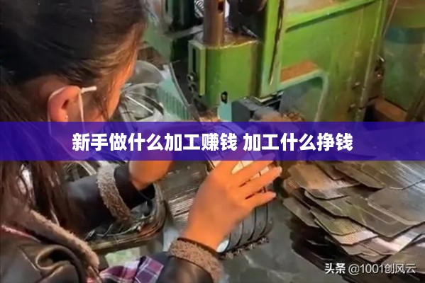 新手做什么加工赚钱 加工什么挣钱