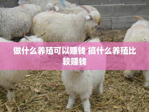 做什么养殖可以赚钱 搞什么养殖比较赚钱