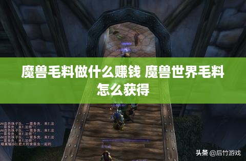 魔兽毛料做什么赚钱 魔兽世界毛料怎么获得