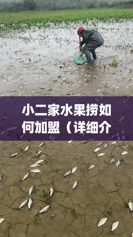 小二家水果捞如何加盟（详细介绍小二家水果捞加盟流程）