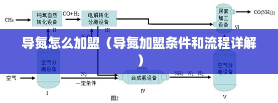 导氮怎么加盟（导氮加盟条件和流程详解）