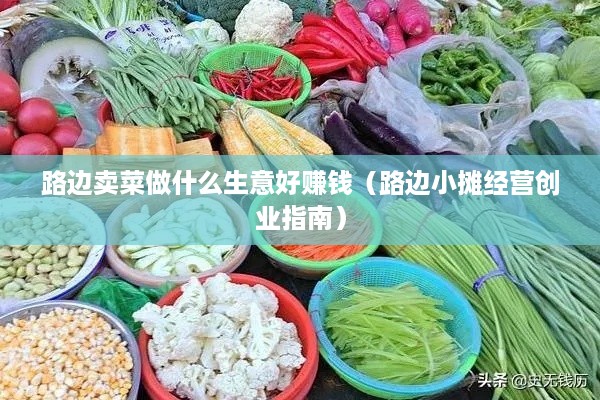 路边卖菜做什么生意好赚钱（路边小摊经营创业指南）