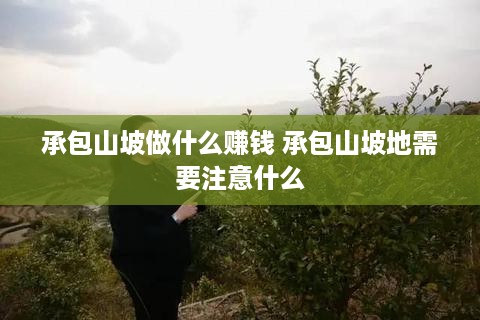 承包山坡做什么赚钱 承包山坡地需要注意什么