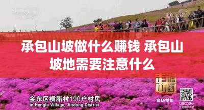 承包山坡做什么赚钱 承包山坡地需要注意什么