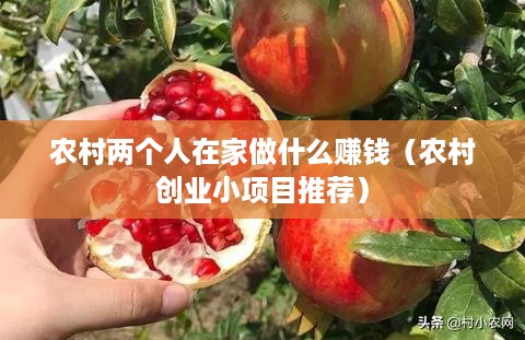 农村两个人在家做什么赚钱（农村创业小项目推荐）