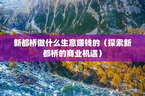 新都桥做什么生意赚钱的（探索新都桥的商业机遇）