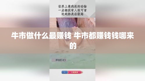 牛市做什么最赚钱 牛市都赚钱钱哪来的