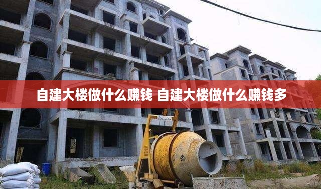 自建大楼做什么赚钱 自建大楼做什么赚钱多