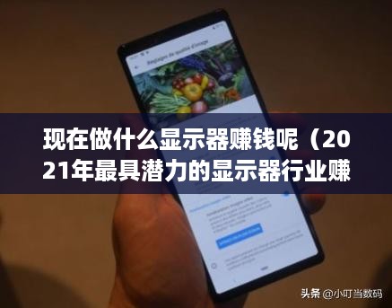 现在做什么显示器赚钱呢（2021年最具潜力的显示器行业赚钱项目）