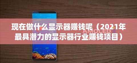 现在做什么显示器赚钱呢（2021年最具潜力的显示器行业赚钱项目）