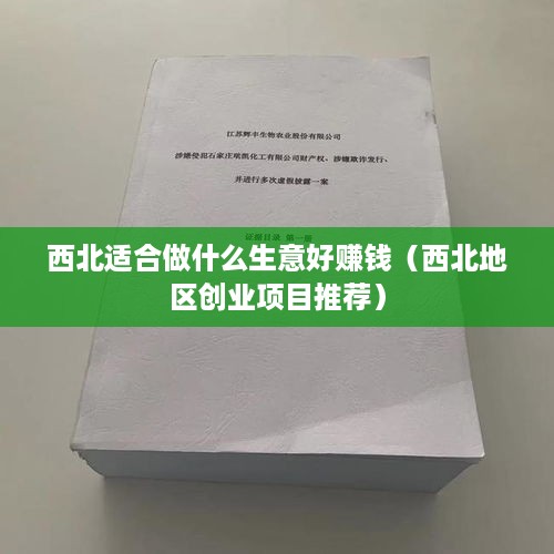 西北适合做什么生意好赚钱（西北地区创业项目推荐）