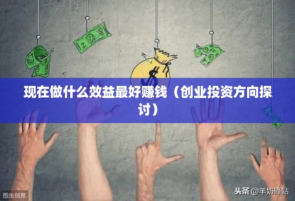 现在做什么效益最好赚钱（创业投资方向探讨）