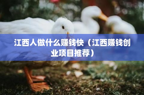 江西人做什么赚钱快（江西赚钱创业项目推荐）