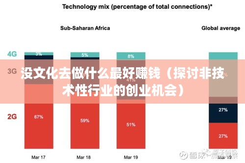 没文化去做什么最好赚钱（探讨非技术性行业的创业机会）