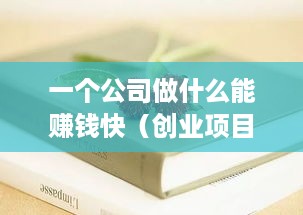 一个公司做什么能赚钱快（创业项目推荐）