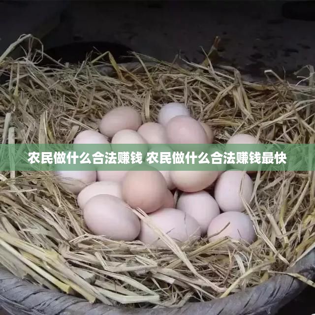 农民做什么合法赚钱 农民做什么合法赚钱最快