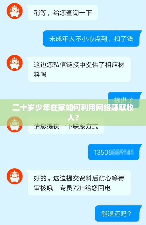 二十岁少年在家如何利用网络赚取收入？