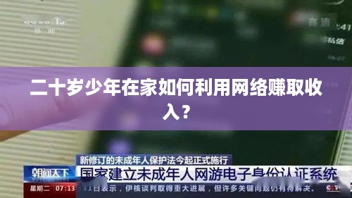 二十岁少年在家如何利用网络赚取收入？