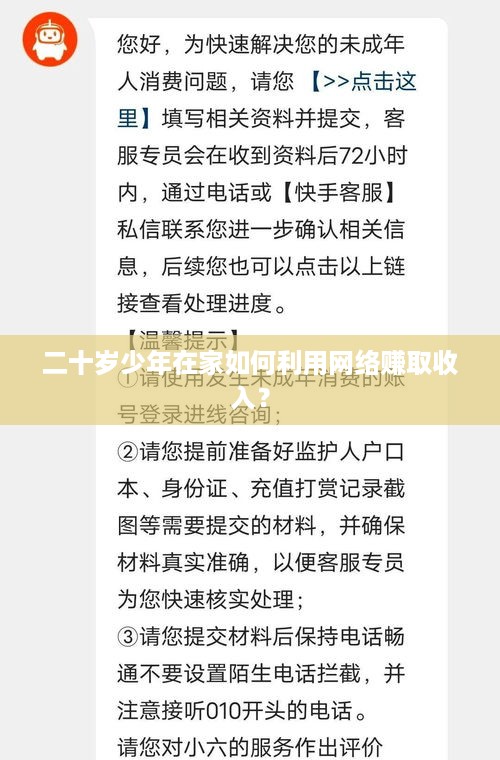 二十岁少年在家如何利用网络赚取收入？