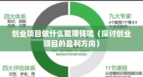 创业项目做什么能赚钱呢（探讨创业项目的盈利方向）