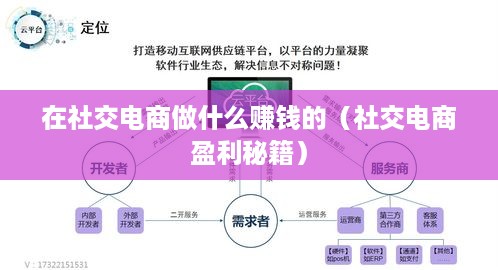 在社交电商做什么赚钱的（社交电商盈利秘籍）