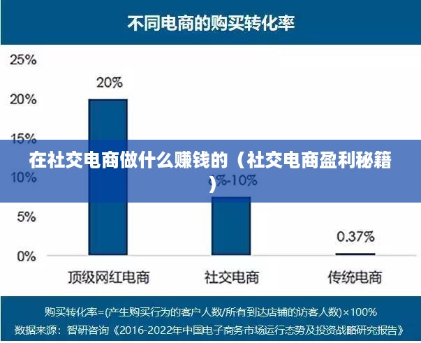 在社交电商做什么赚钱的（社交电商盈利秘籍）