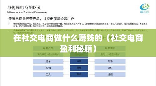 在社交电商做什么赚钱的（社交电商盈利秘籍）