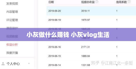 小灰做什么赚钱 小灰vlog生活