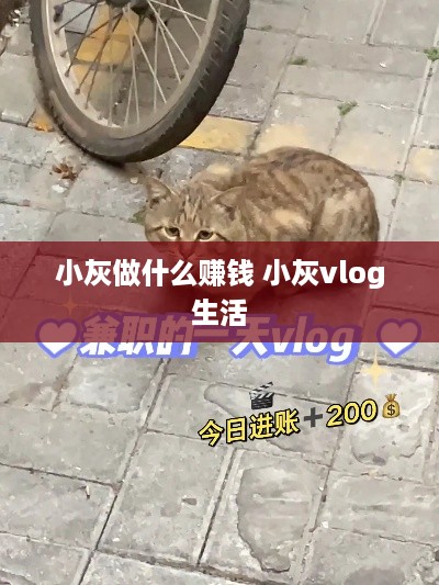 小灰做什么赚钱 小灰vlog生活