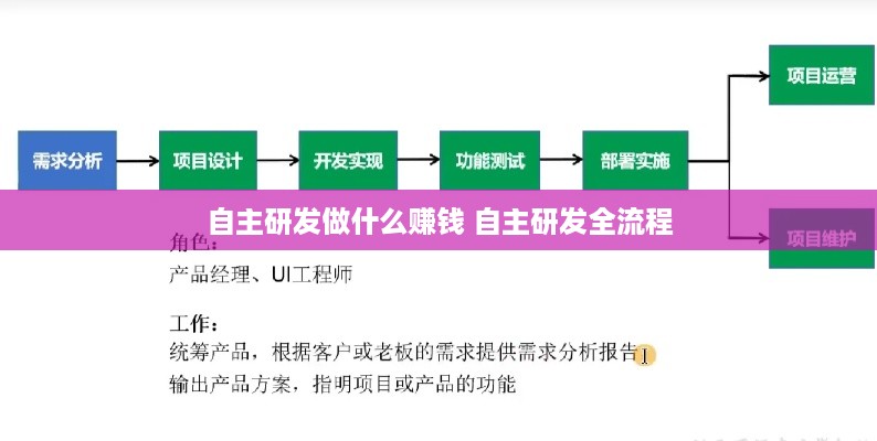 自主研发做什么赚钱 自主研发全流程