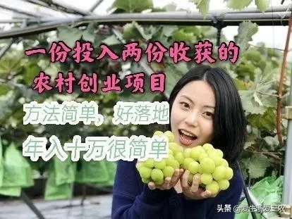 滕州市女人做什么赚钱（创业项目推荐）