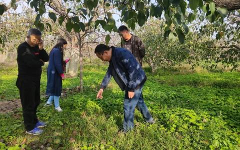 做什么生态茶赚钱（生态茶种植及销售全攻略）