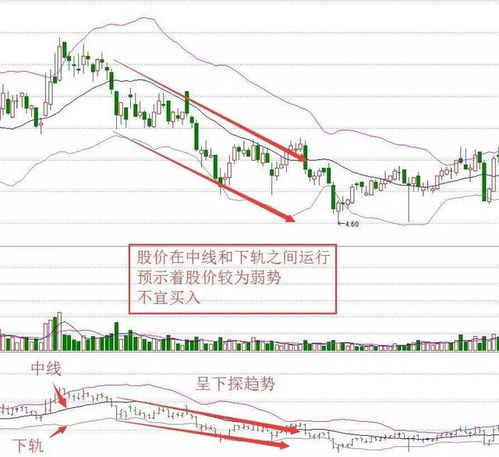 炒股做什么功课赚钱（股市投资技巧与分析方法）