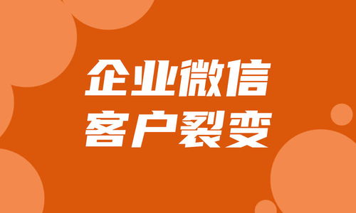 帮客户做什么赚钱 帮客户做什么赚钱快