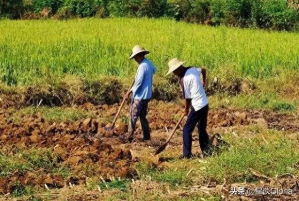 农民做什么比较赚钱 农民适合做点什么副业