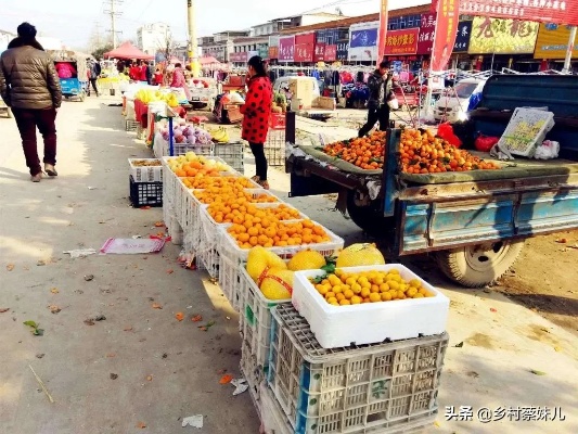 南阳农村做什么赚钱 南阳干啥小生意赚钱