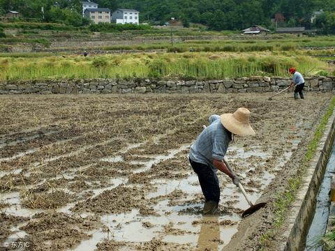 鱼池能做什么赚钱 鱼池赚钱吗