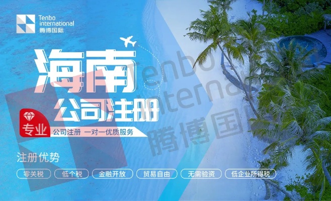 海南做什么公司赚钱（海南投资创业指南）