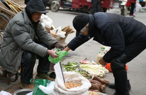 老人做什么生意赚钱（适合老年人的赚钱项目）