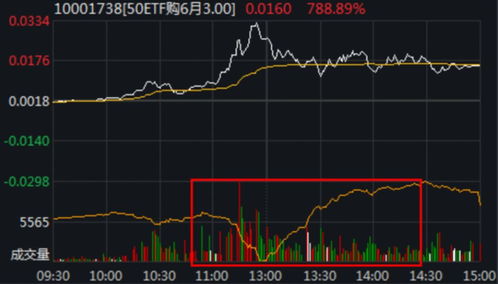 期权日内做什么赚钱 期权可以做日内吗