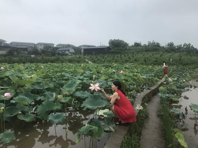 挖掘特色产业，助力乡村振兴