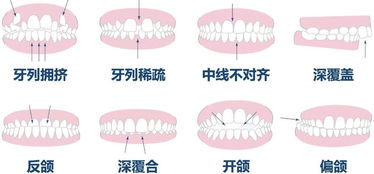 在渭南做什么赚钱多？