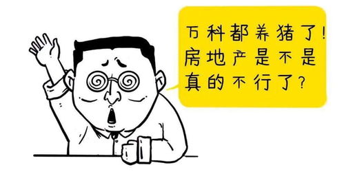 养猪不赚钱做什么兼职