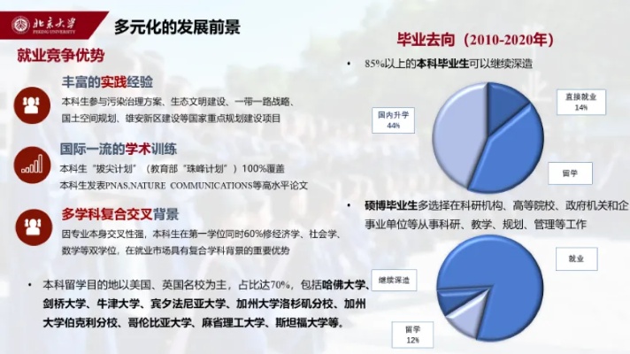 在校园里，大学生如何运用多元化途径创造财富