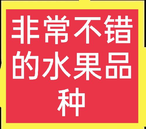 农村春天好赚钱，这些项目值得一试！